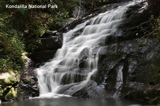 Kondalilla National Park Waterfall
